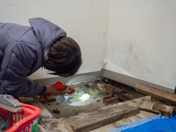 Best Air Quality Testing for Mold Spores  in Seagoville, TX