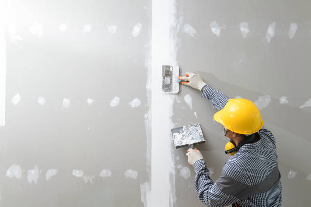 Best HVAC Mold Inspection and Cleaning  in Seagoville, TX