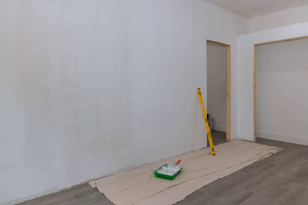 Best Black Mold Removal  in Seagoville, TX