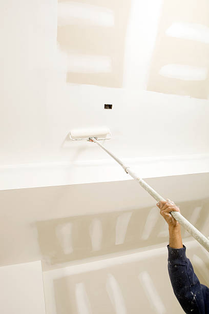 Best Attic Mold Removal  in Seagoville, TX